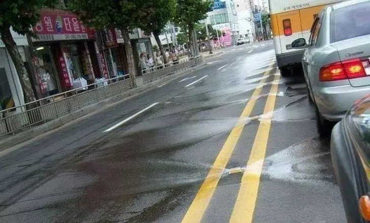 20張「會改變你看待世界的方式」的驚奇事物 懷孕的松鼠媽媽超可愛~