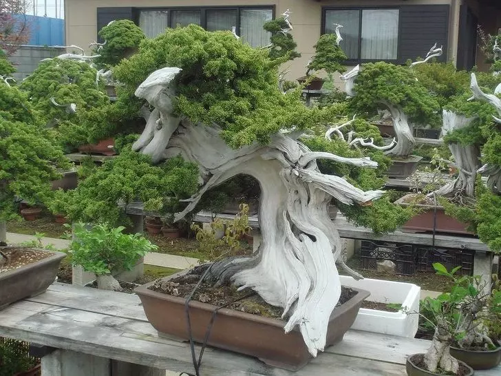20張「會改變你看待世界的方式」的驚奇事物 懷孕的松鼠媽媽超可愛~