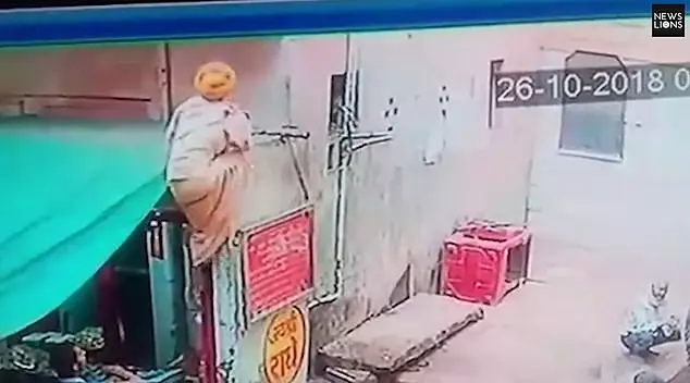 印度潑猴當街發威 搶走飼主的「寶貝蛇蛇」警方卻回:不能抓!牠們是猴神...