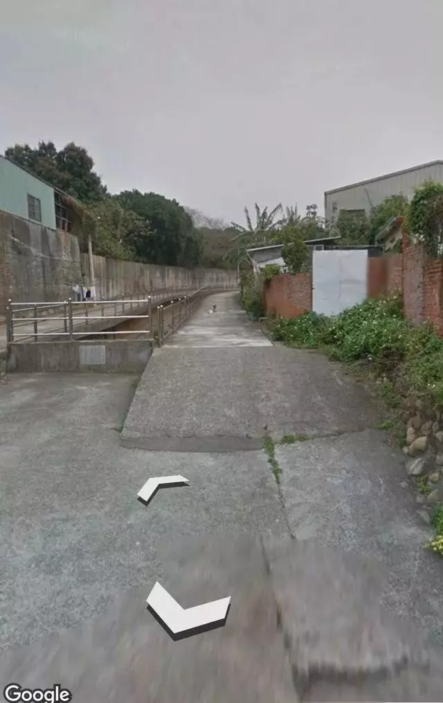偶然在街景地圖上看到自己的狗狗,主人淚崩:你在天堂還好嗎?