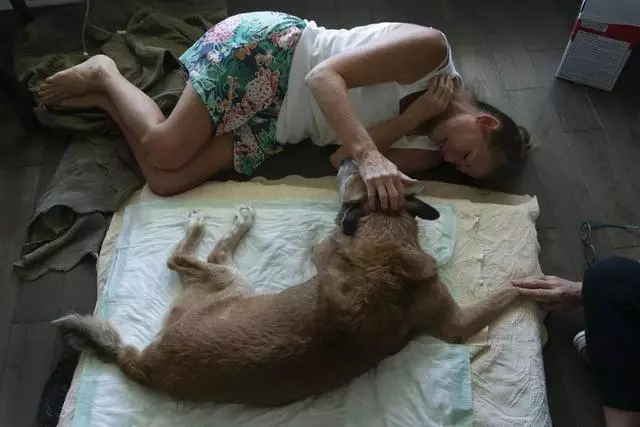 偶然在街景地圖上看到自己的狗狗,主人淚崩:你在天堂還好嗎?