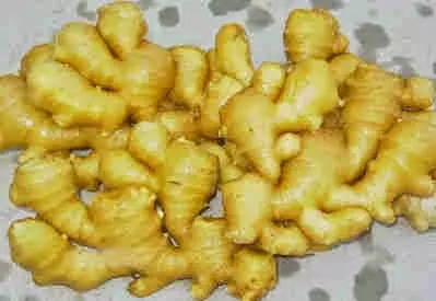 大量掉頭髮的處理秘方,不看一定後悔