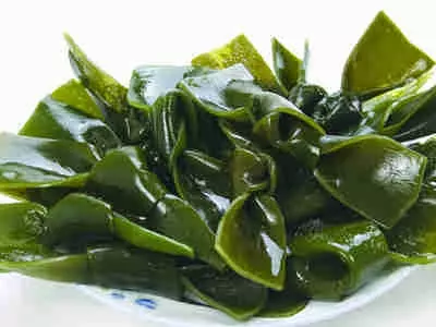 大量掉頭髮的處理秘方,不看一定後悔