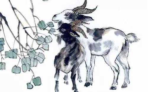 這4個生肖,千萬不要惹,2月實在太旺了