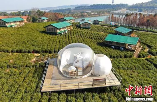 航拍茅山寶盛園透明屋「鑲嵌」茶園猶如外星基地