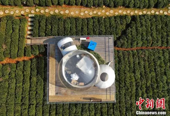 航拍茅山寶盛園透明屋「鑲嵌」茶園猶如外星基地