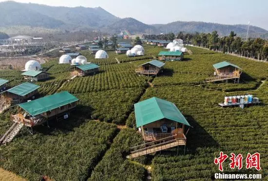航拍茅山寶盛園透明屋「鑲嵌」茶園猶如外星基地