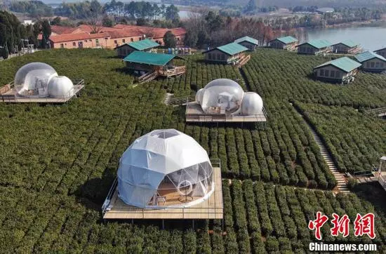 航拍茅山寶盛園透明屋「鑲嵌」茶園猶如外星基地
