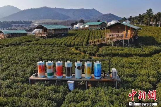 航拍茅山寶盛園透明屋「鑲嵌」茶園猶如外星基地