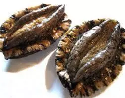 主人們注意了!絕對不能讓家裡的愛犬和愛貓吃的危險食品