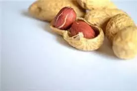 主人們注意了!絕對不能讓家裡的愛犬和愛貓吃的危險食品
