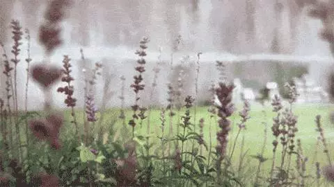 測試:你屬什麼,你的脾氣就是什麼樣,都看看