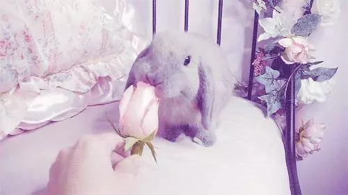 測試:你屬什麼,你的脾氣就是什麼樣,都看看