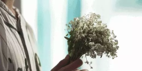 測試:你屬什麼,你的脾氣就是什麼樣,都看看