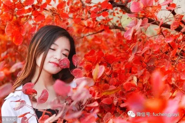 「老婆,你為什麼要離婚?」「因為你不孝順我爸媽,我是獨女」