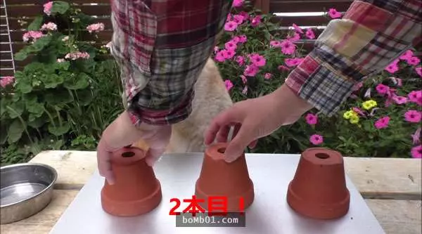 這隻狗狗的主人跟牠玩一個小遊戲測試牠的智商,結果牠笨到超可愛的反應會讓你笑到快往生。