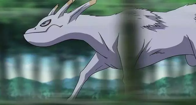 火影忍者:尾獸實力差距很大?沒有弱的尾獸,只是沒有正確使用