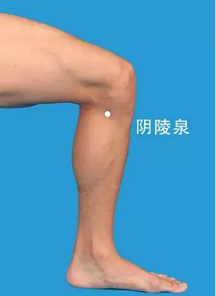 刺激女人這兩個地方,「水」就排出來了!!