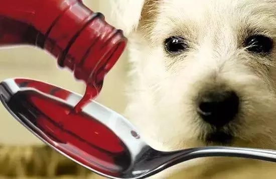 養狗必看,這7種誤區你還再犯嗎