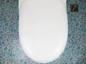 馬桶水箱裡放一個塑料瓶,奇蹟發生了不髒不臭還省水