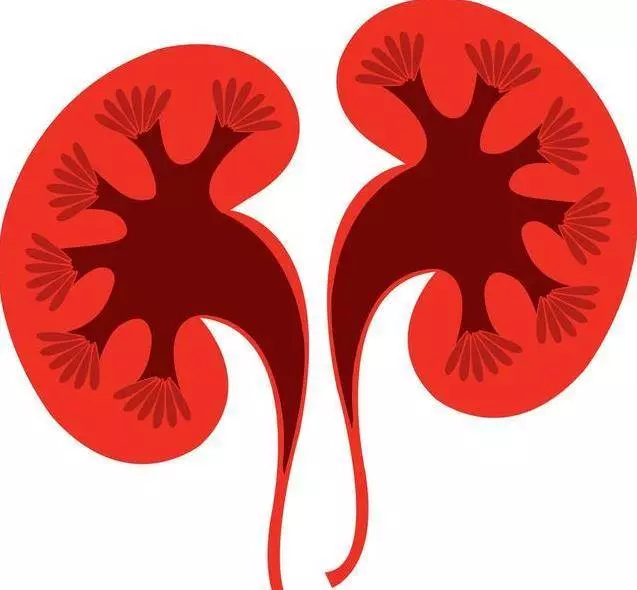 腎好身體才健康,保養腎臟只需謹記睡前【二不要】