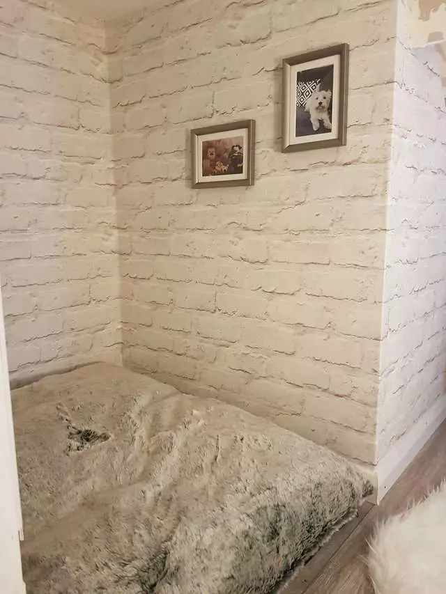 狗比人還幸福的實例！　爸爸為愛犬打造「VIP豪華房間」　它住到不想出來啊