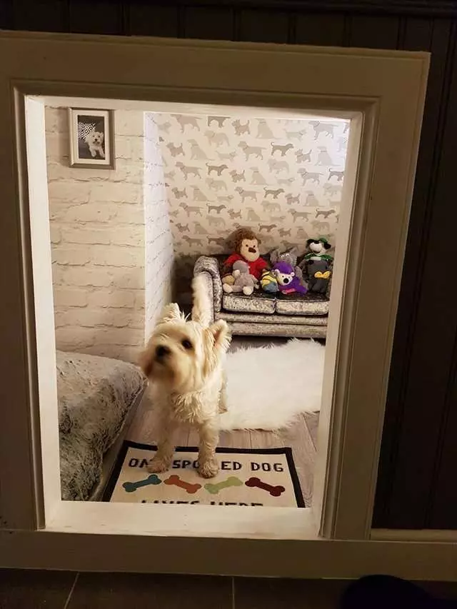 狗比人還幸福的實例！　爸爸為愛犬打造「VIP豪華房間」　它住到不想出來啊