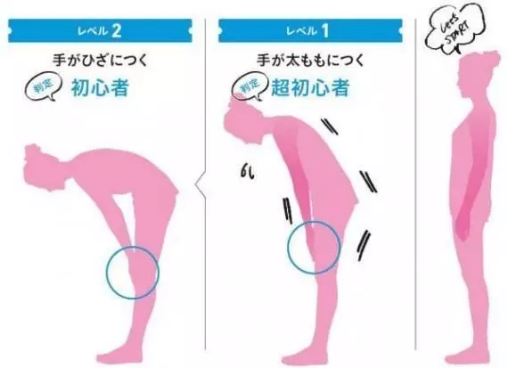 彎不下腰可能是骨盆歪! 1日5分鐘前彎拉筋 輕鬆瘦身4kg
