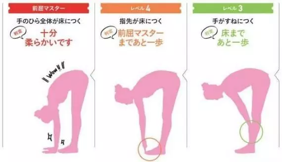 彎不下腰可能是骨盆歪! 1日5分鐘前彎拉筋 輕鬆瘦身4kg