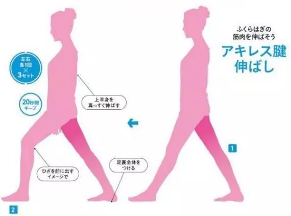 彎不下腰可能是骨盆歪! 1日5分鐘前彎拉筋 輕鬆瘦身4kg