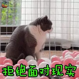 貓狗裡有弱智嗎?看看這些網友的經歷要笑噴