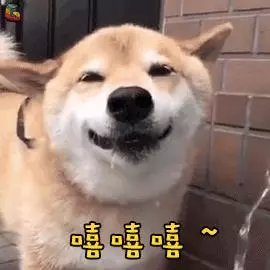 貓狗裡有弱智嗎?看看這些網友的經歷要笑噴