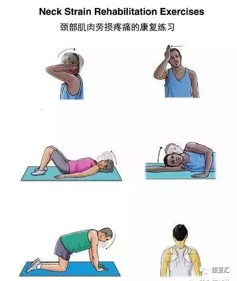 全身各部位常見疼痛康復訓練圖解(頸、肩、腰、背、腹部)