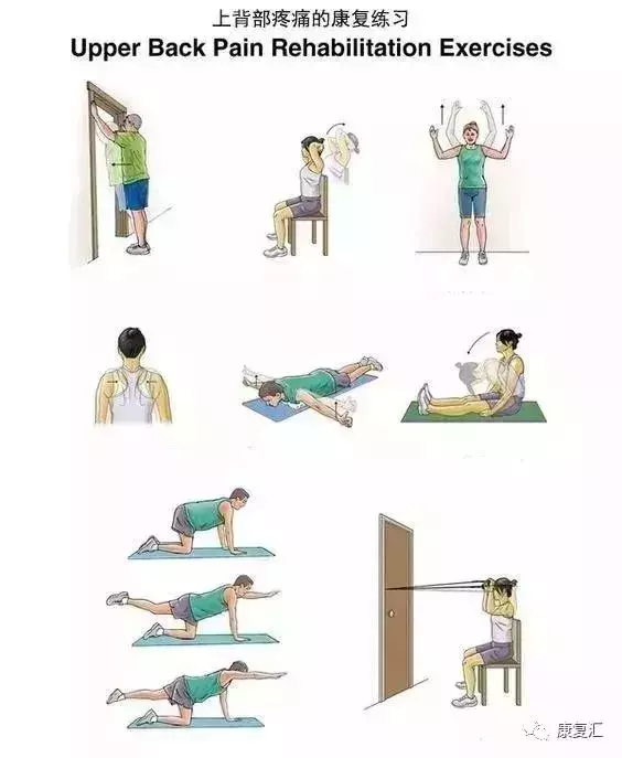 全身各部位常見疼痛康復訓練圖解(頸、肩、腰、背、腹部)