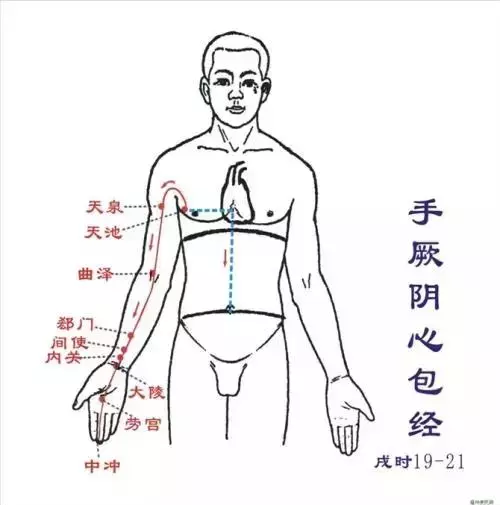 天池穴,女性的穴位,對現代女性十分重要