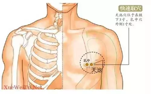 天池穴,女性的穴位,對現代女性十分重要