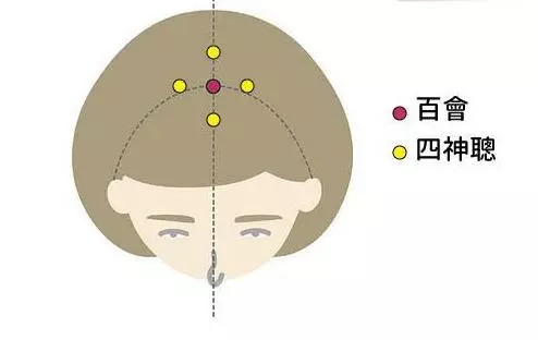 穴位養生:改善失眠、健忘的特效穴!按按頭頂1分鐘提神又紓壓