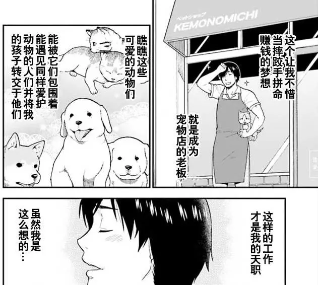 《為美好世界獻上祝福原作者》又一作品動畫化,一看就很搞笑