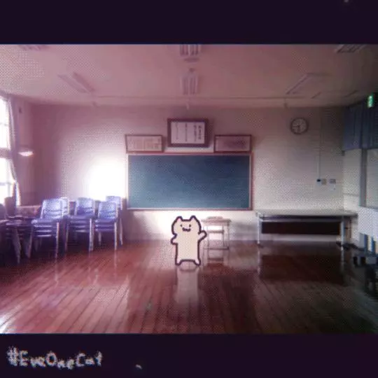 作者嗑了什麼都不要給我… 「有毒貓咪動圖」一看就煞不住