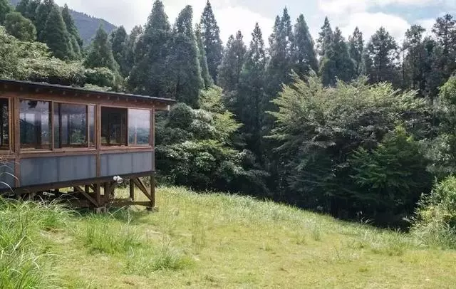 日本|15款九州各地美味,泡湯之餘從早到晚吃不重樣