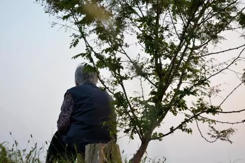兒媳坐月子,婆婆故意去小姑子家,半年後回家,家沒了