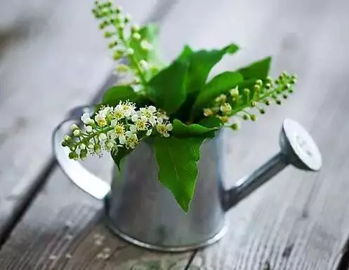 一輩子很短,請為自己活