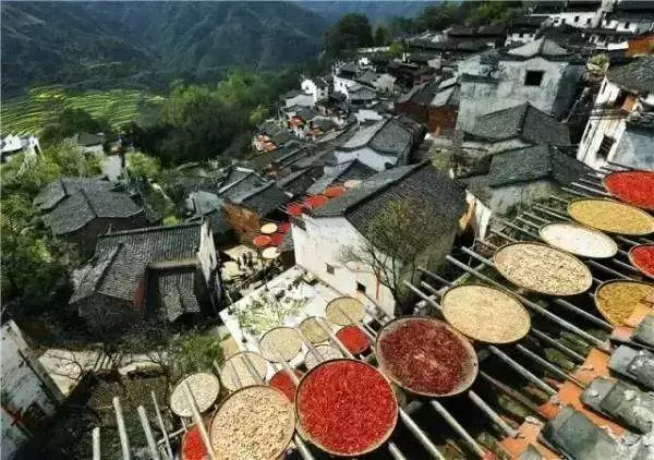 如果你五十幾歲了,一定要看看這篇文章