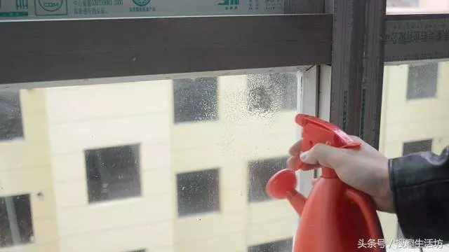 把食鹽放進啤酒裡,能解決家家戶戶都困擾的難題,用過的人都說好