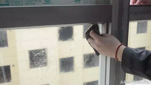 把食鹽放進啤酒裡,能解決家家戶戶都困擾的難題,用過的人都說好