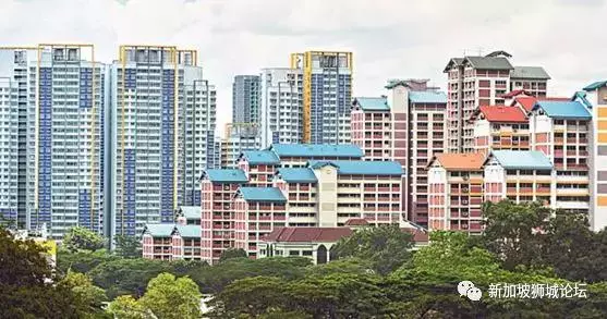 把所有外勞都攆回家算了,組屋出租也出新規定,忍住別哭