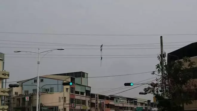 網友還以為「電線上勾到東西」嚇得趕緊報警,走近一看才發現竟是「活生生的人」啊!