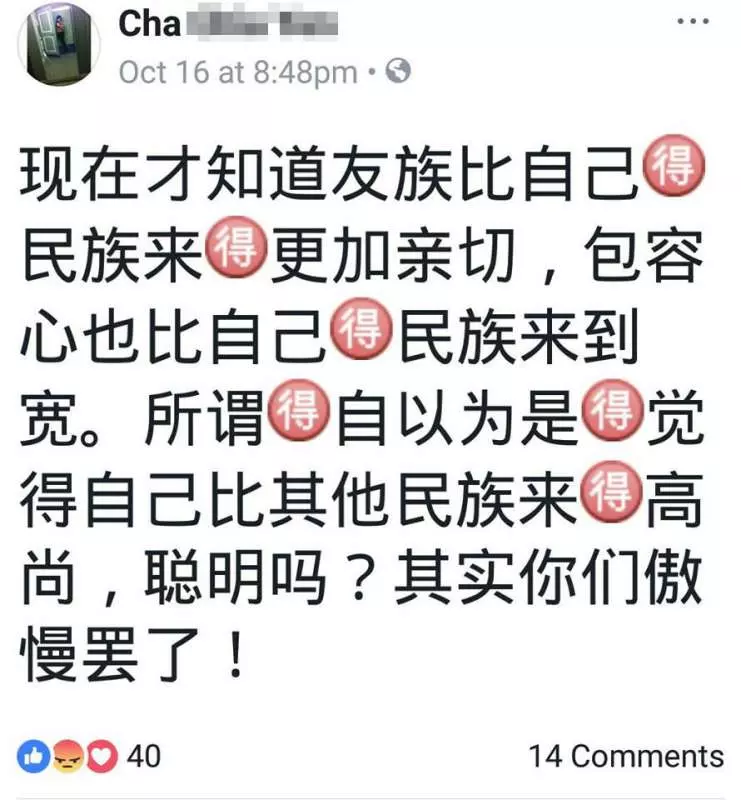 轟動事件 華裔穆斯林口無遮攔 自己假聖潔 說九皇大帝是邪教 害死人 不尊重死者也不尊重宗教 給她紅