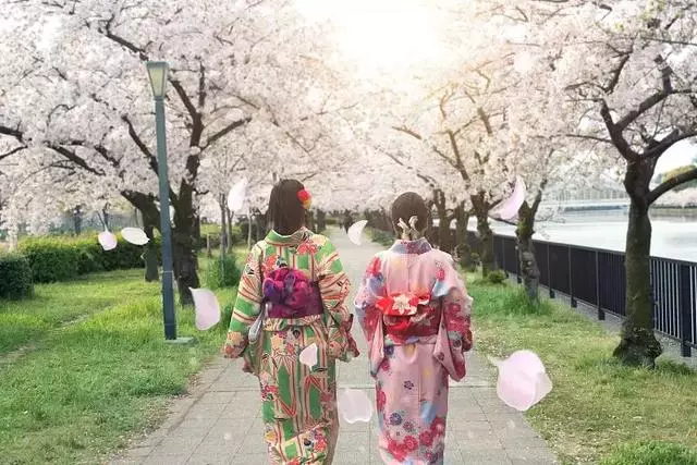 2019年日本櫻花季日程出爐!看完就可以趕緊請假啦!