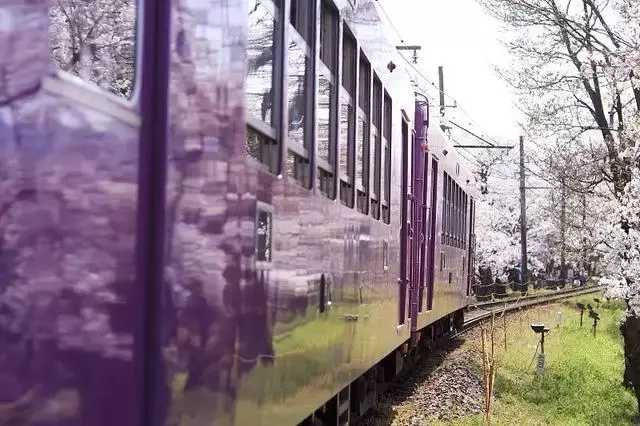2019年日本櫻花季日程出爐!看完就可以趕緊請假啦!